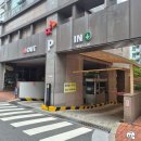 파충류 입문자 추천 샵 :: 병점 킴스 파충류샵 다녀온 후기