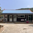 슈브로커 | 🌊 꽉꽉 채운 1박 2일 동해 스노클링 여행 2편 (장호항 스노클링ㅣ샤워ㅣ해파리ㅣ홍문어ㅣ천곡황금박쥐동굴)
