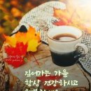 봄안에 이미지
