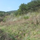 안성면102 이미지