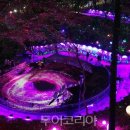 화려한 '빛'으로 물든 '광주'...크리스마스ⓝ광주빛축제' 연말까지 열려 이미지