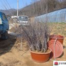 품앗이농원 이미지