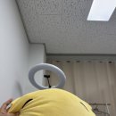 동래 부산대 명륜역 왁싱샵 추천 헨느왁싱 브라질리언 왁싱 솔직후기 N 번째 방문