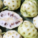 노니 필라테스 이미지