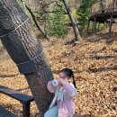 용마산 자락길 코스 이미지