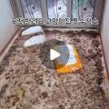 인심특수청소 네이버블로그