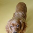 다대2동-6 이미지