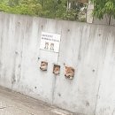 개구멍 이미지