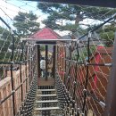 안심사슴농장 이미지