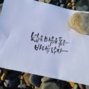 바다가좋아 - 강릉시 해안로621번길 7 | 바다가좋아