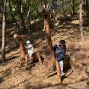 루소의 숲 어린이집 이미지