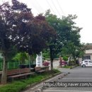 양강보건지소 이미지