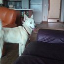 일루와농장 이미지