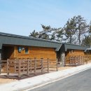 바다 그리고 달 이미지