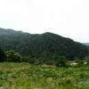 황토한옥펜션 이미지