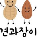중앙땅콩 이미지