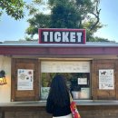 길갈농장 | [제주 가볼만한곳] 제주동쪽 카페 추천 : 조천읍카페 말로/길갈팜랜드 농장 방문후기 🐴