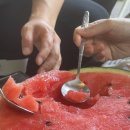 동반 글램핑 음식 고기 무제한 수영장 무료 포크레인 체험 동물체험 등 모두다 포함! 통영 흙내음 글램핑