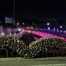 읍내맥주 - 무안군 | 읍내맥주
