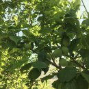 새뜸농장 이미지