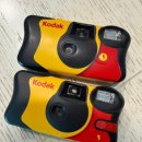 모음집 | [kodak 일회용필름카메라 펀세이버]_현상 모음집,후기📸