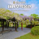 명곡 연주 모음 (Piano Collection) 이미지