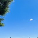 용소길 96 이미지