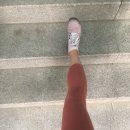 비에이치씨대청 네이버블로그