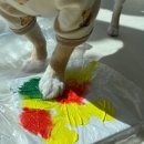 시오꾸꾸 이미지