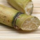(주)사탕수수 이미지