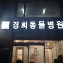 경희동물병원 네이버블로그