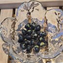 차향으로 만나는 다도 | 김해 장군차 산들｜다도세트로 즐긴 장군차 발효차 내돈내산 후기