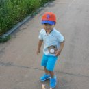 남천둔치1 이미지