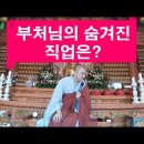 담큐 119 경제적 독립의 중요성 이미지