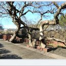 대변항 상징 조형물 이미지