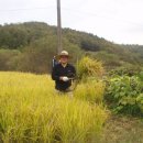 임금농장 이미지