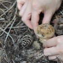 송이민박 이미지