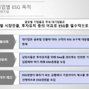 테스경영컨설팅