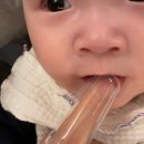 서오릉산책