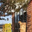 카페해길 이미지