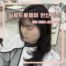 안산 고잔동 미용실 살롱드로웰미안산고잔점 현실장님 자연스러운 c컬펌 후기