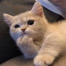 말랑말랑 이미지