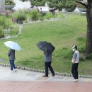 구로-구로-구로-2609 이미지