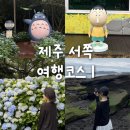 짱구 애견 하우스 | 제주 서쪽 가볼만한 곳 4박 5일 여행 코스(1)