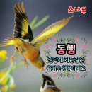 중국여행ㅡ 인천 공항ㅡ 중국 광주 ㅡ광저우 ㅡ 구이린 ㅡGuilinㅡ 桂林(계림 서역)ㅡ 계림ㅡ양삭 여행 4박5일 ㅡ http: 이미지