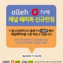 채널독 뉴스1