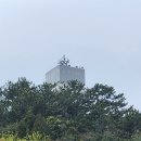 진해중앙시장입구 이미지