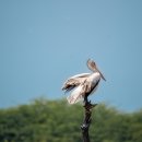 카페산책 이미지