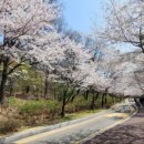 강서별빛우주과학관 화장실 이미지