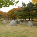 토성농장 이미지